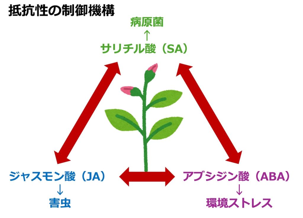 teikousei_seigyo_20260719