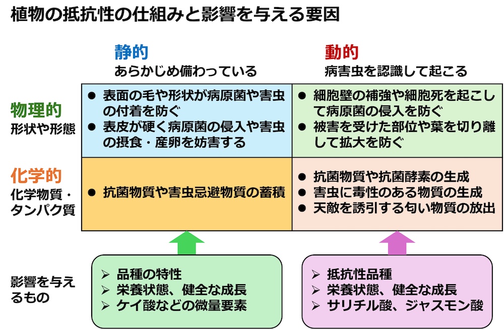 teikousei_sikumi_20260715